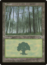 Floresta / Forest - Magic: The Gathering - MoxLand